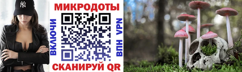 Галлюциногенные грибы Magic Shrooms  даркнет сайт  Лебедянь 
